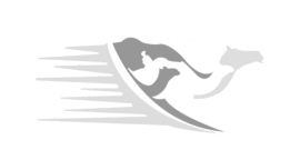 footer logo